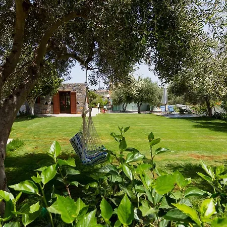 Athena Olive Grove & Estate Holiday home