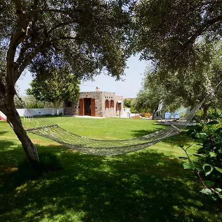 Athena Olive Grove & Estate *
